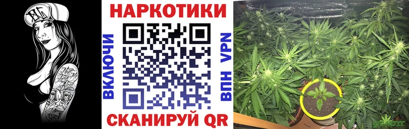 Наркошоп Белая Холуница Гашиш  Кокаин  АМФ  OMG   Канабис  Меф мяу мяу  А ПВП 